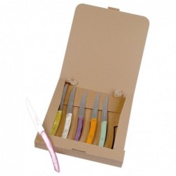 Coffret Carton 6 Thiers...